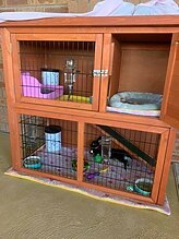 rabbit hutch with liner set