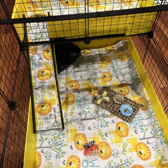 Handmade Fleece Tunnels For Guinea Pigs Teacup Nethies