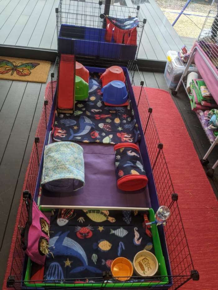 C&C Fleece Cage Liners Make Your Cage Fun Teacup Nethies