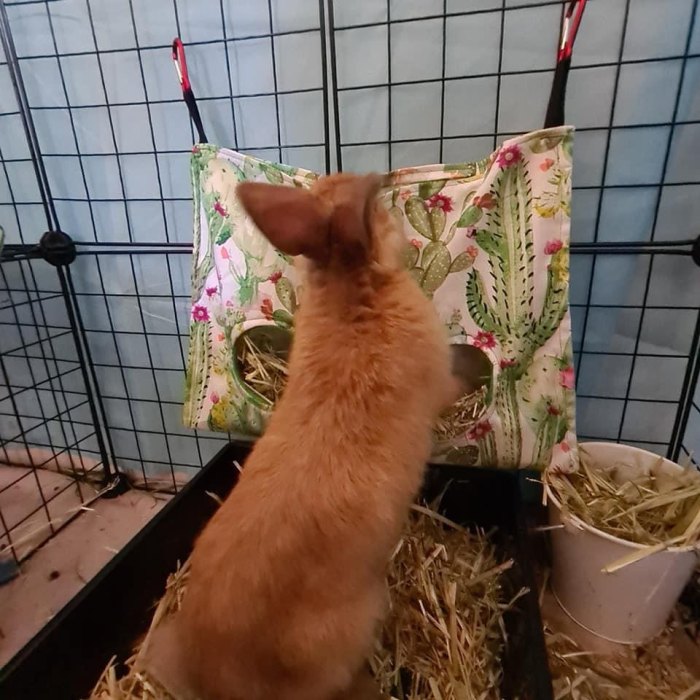 Handmade Hay Bags Rabbits & Guinea Pigs Teacup Nethies