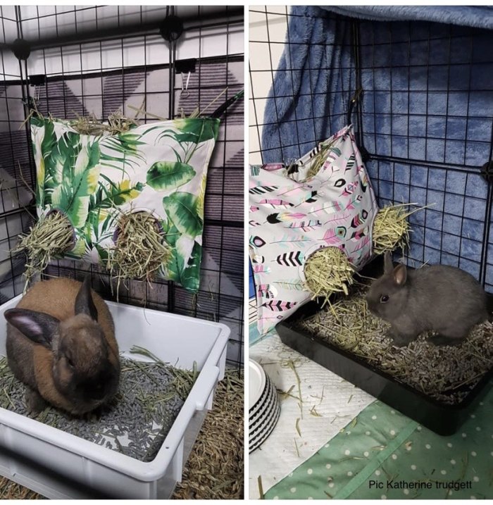 Handmade Hay Bags Rabbits & Guinea Pigs Teacup Nethies