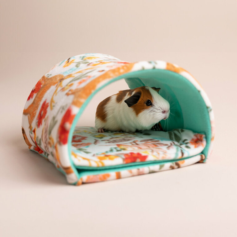 Flat bottom tunnel for rabits and guinea pigs