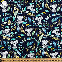 Koalas