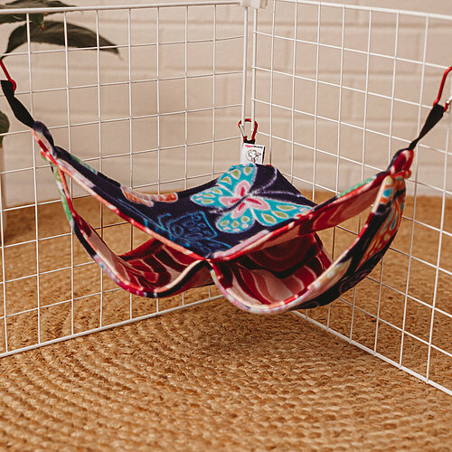 Corner burrow hammock by teacup nethies