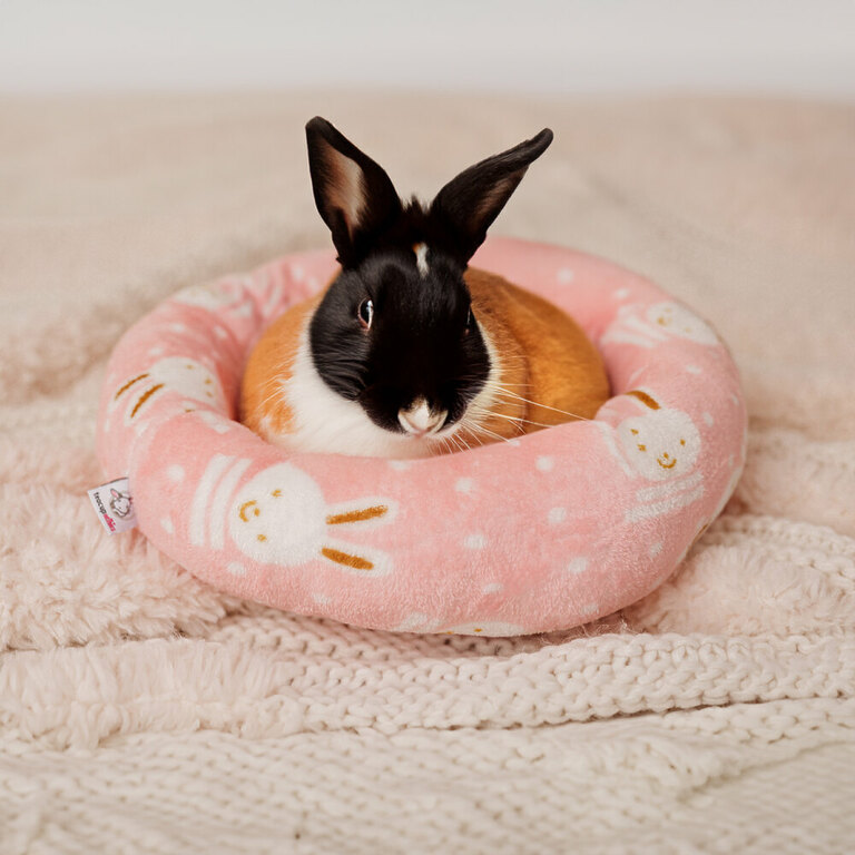 Teacup nethies donut bed - rabbit acccessories