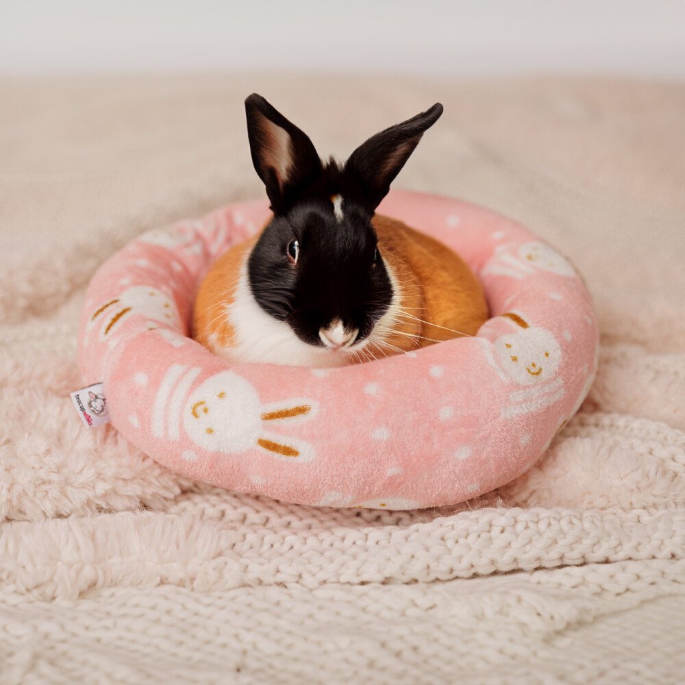 Teacup nethies donut bed - rabbit sitting inside