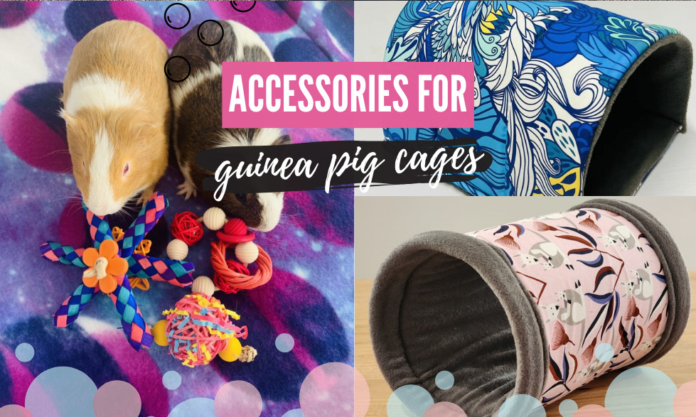 What accessories for guinea pig cages are needed