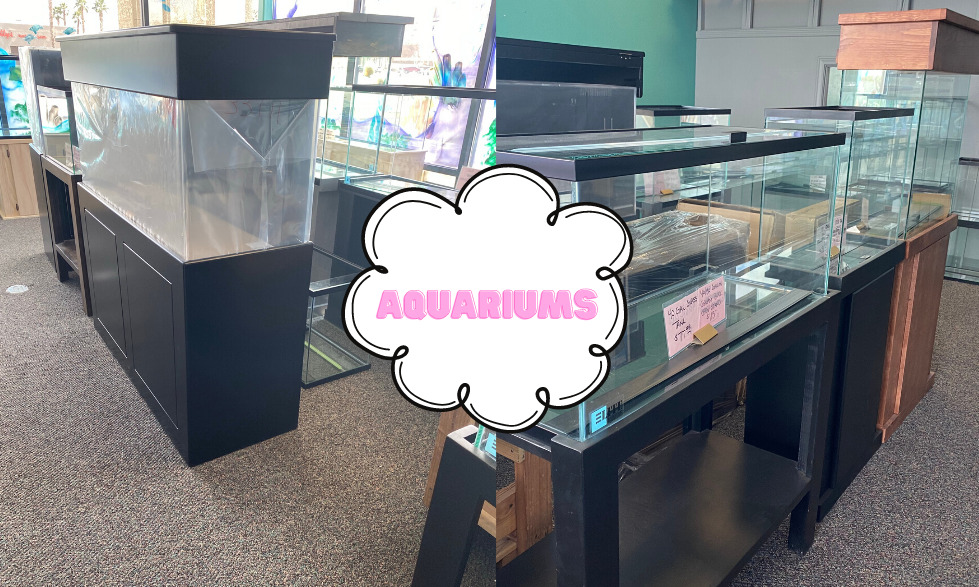 Aquariums and terrariums