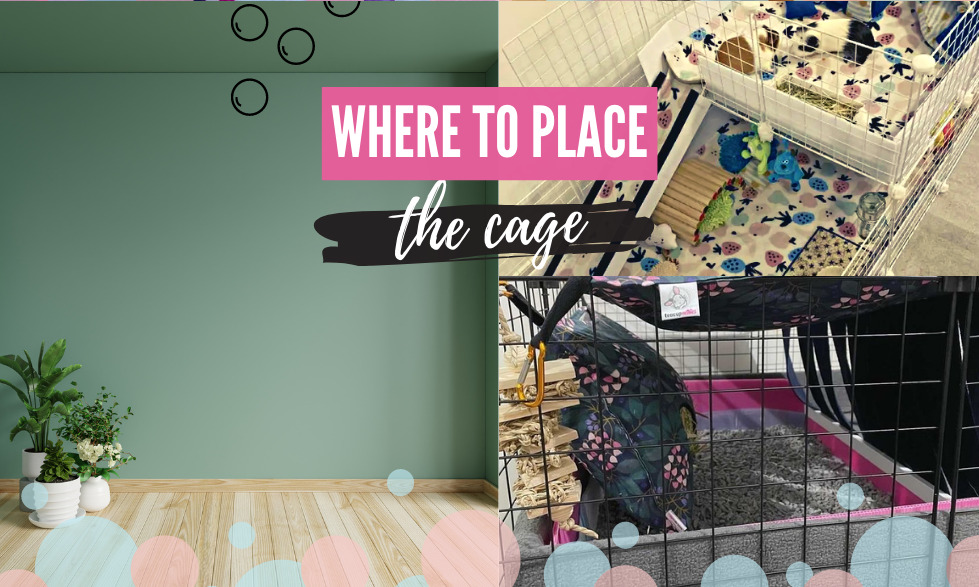 Where to place the cage