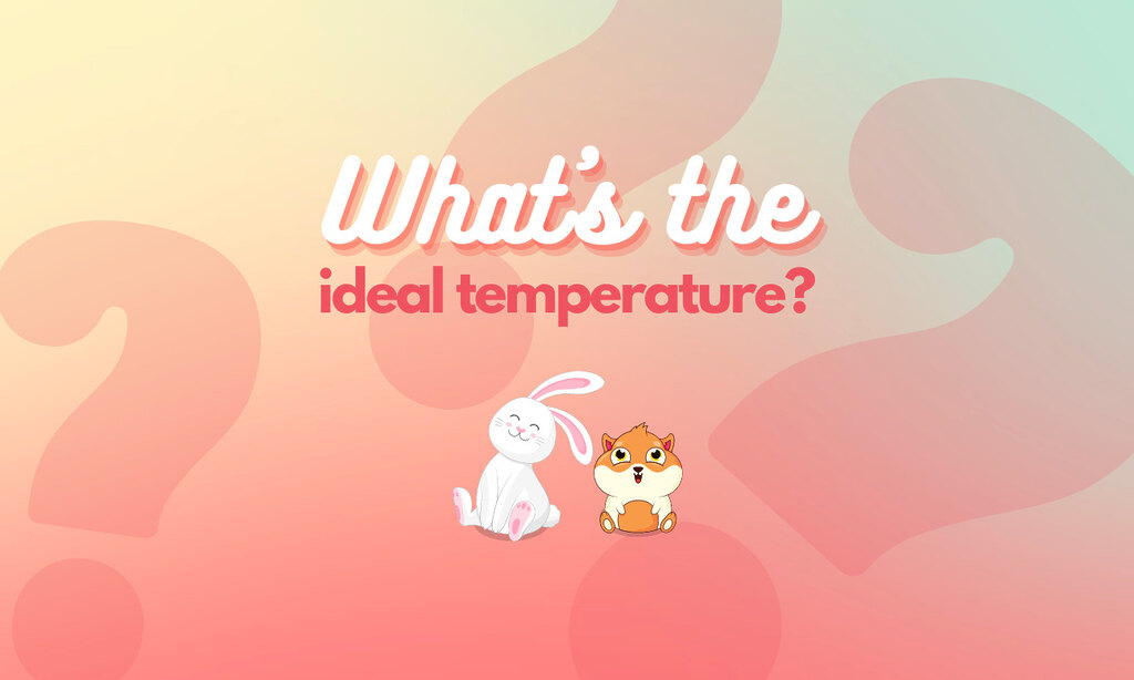 What's the ideal temperature for your rabbits and guinea pigs?