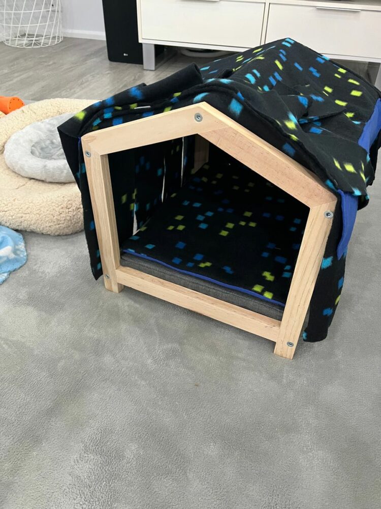 Kmart dog best sale beds