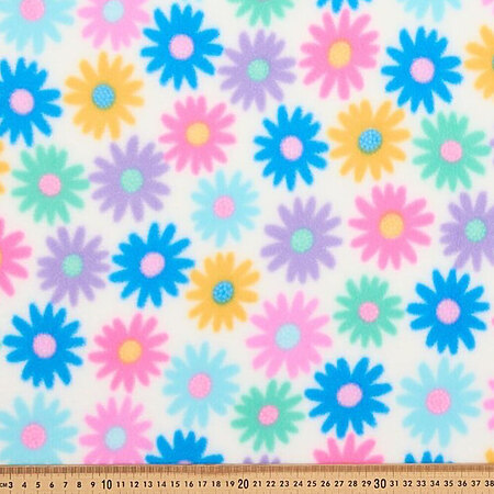 Rainbow cornflower