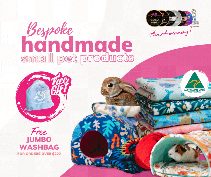 Promotion - Free Washbag - Bespoke handmade small pet products