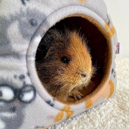 Guinea pig bedding