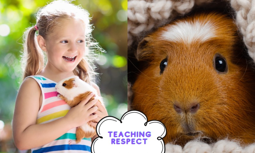 Teaches respect for animals