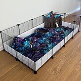 C&C Cage by Teacup Nethies