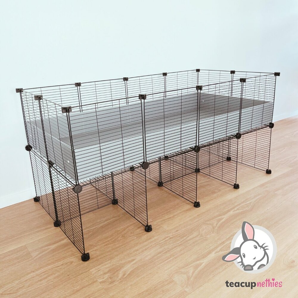2x4 Teacup C&C Cage & Stand Teacup Nethies