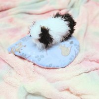 snugge safe heat [ack cover