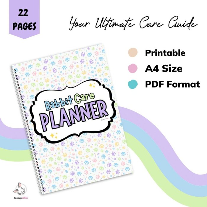 rabbit care planner guide printable