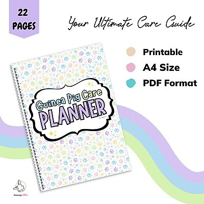 guinea pig care planner guide