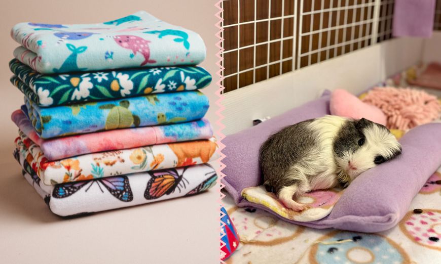 Why the type of fleece matters in pet bedding
