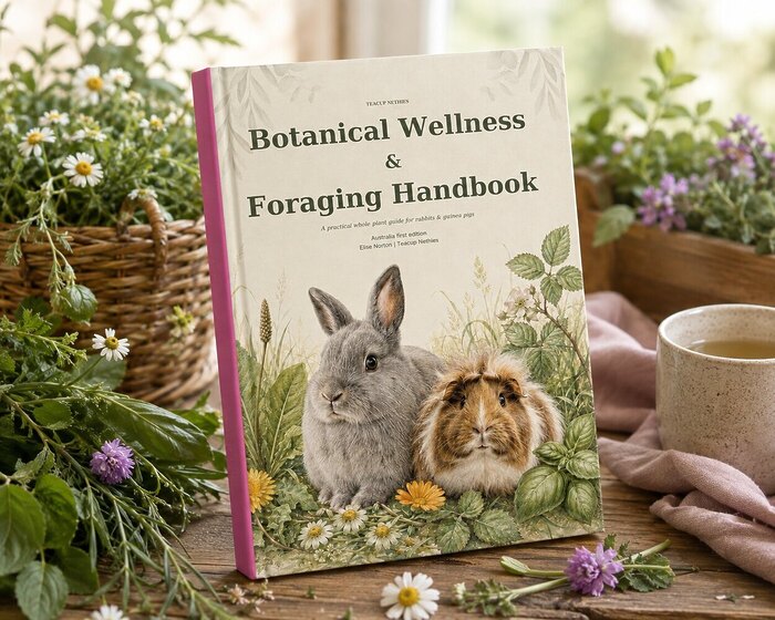 Botanical Wellness & Foraging Handbook for Rabbits & Guinea Pigs