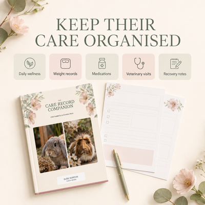 The Care Record Companion for Rabbits & Guinea Pigs |  Printable PDF