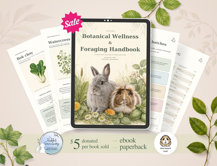 Teacup Nethies Botanical Wellness & Foraging Handbook with plant identification and feeding guide pages.